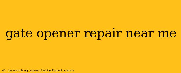 gate opener repair near me