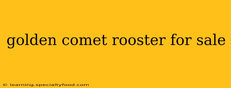 golden comet rooster for sale