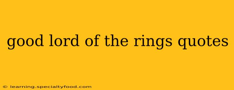 good lord of the rings quotes