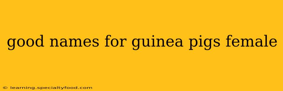 good names for guinea pigs female