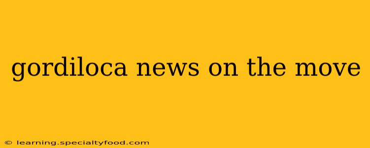 gordiloca news on the move