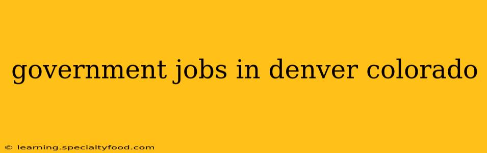 government jobs in denver colorado