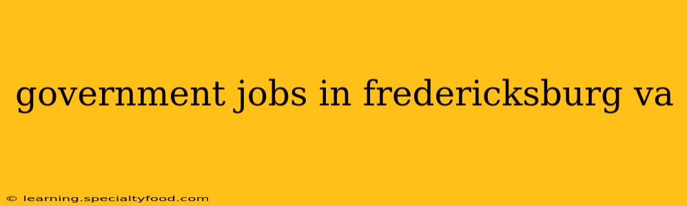 government jobs in fredericksburg va