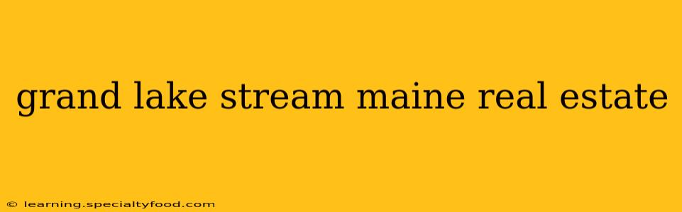 grand lake stream maine real estate