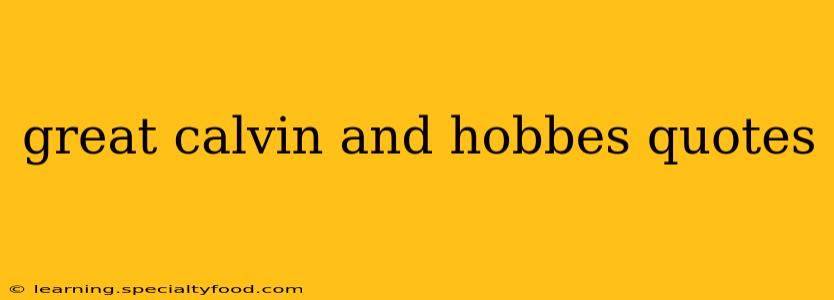 great calvin and hobbes quotes