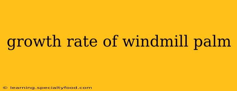 growth rate of windmill palm