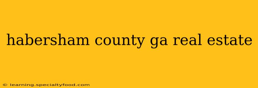 habersham county ga real estate