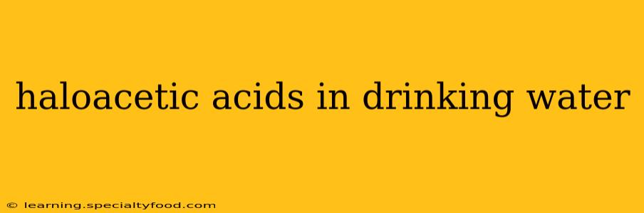 haloacetic acids in drinking water