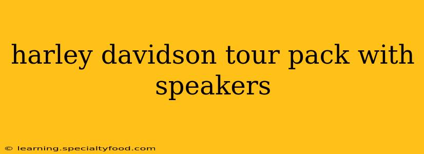 harley davidson tour pack with speakers