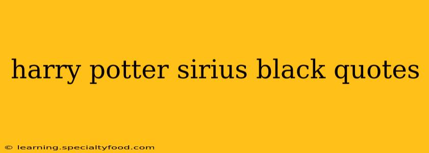 harry potter sirius black quotes