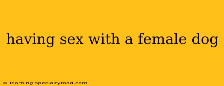 having sex with a female dog