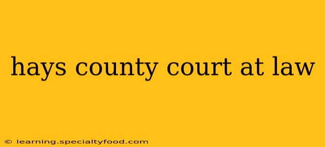 hays county court at law