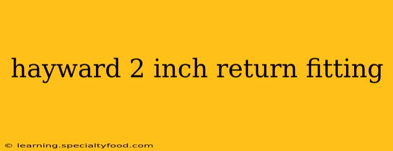 hayward 2 inch return fitting
