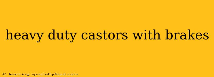 heavy duty castors with brakes