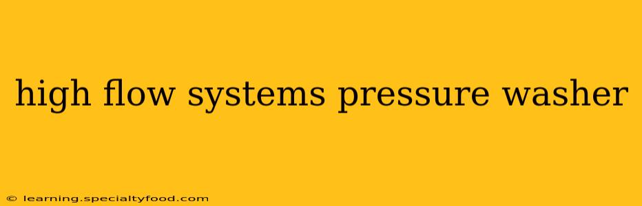high flow systems pressure washer
