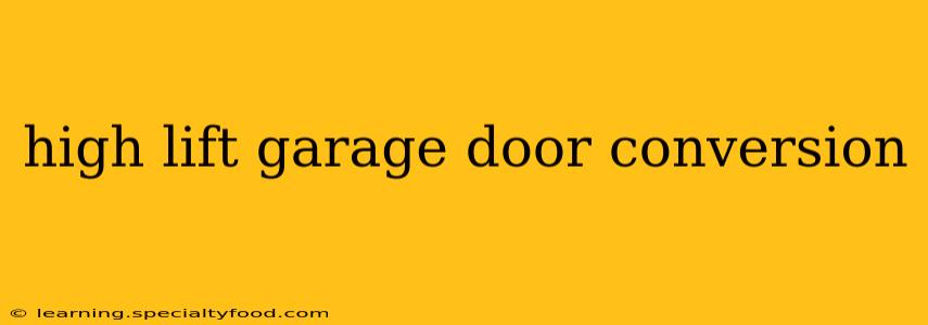 high lift garage door conversion