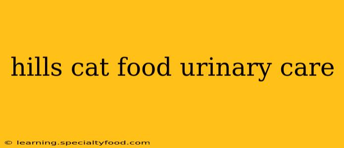 hills cat food urinary care
