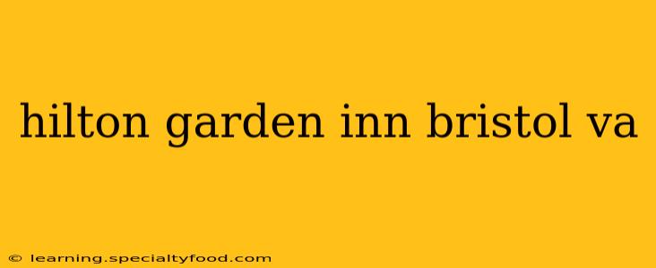 hilton garden inn bristol va