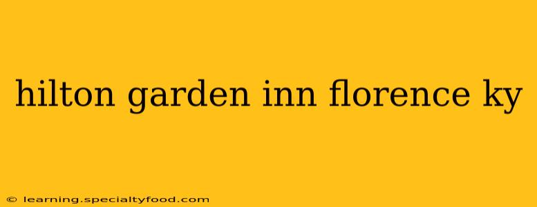 hilton garden inn florence ky