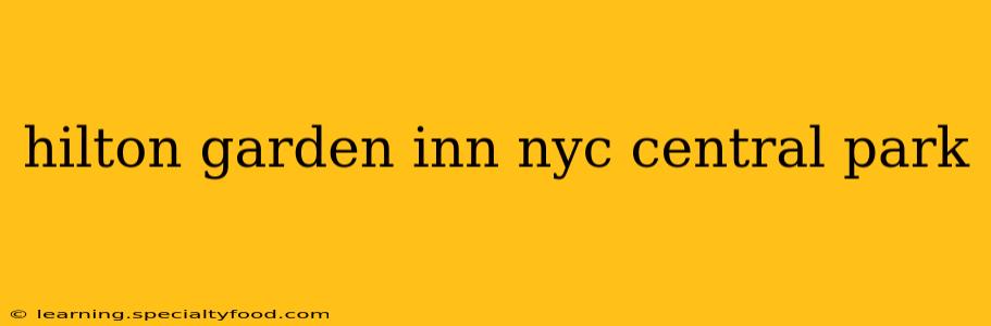 hilton garden inn nyc central park