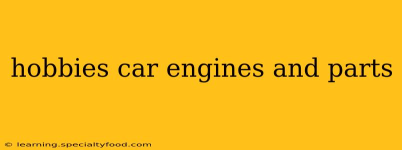 hobbies car engines and parts