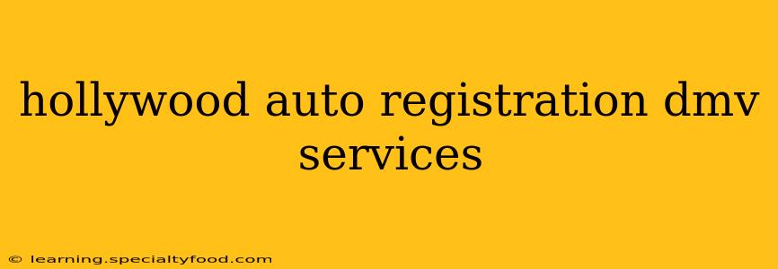 hollywood auto registration dmv services