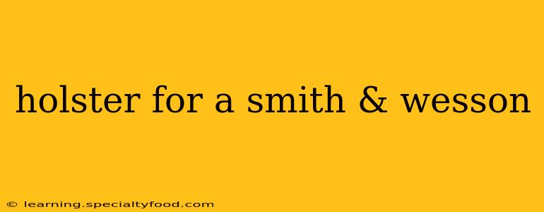 holster for a smith & wesson
