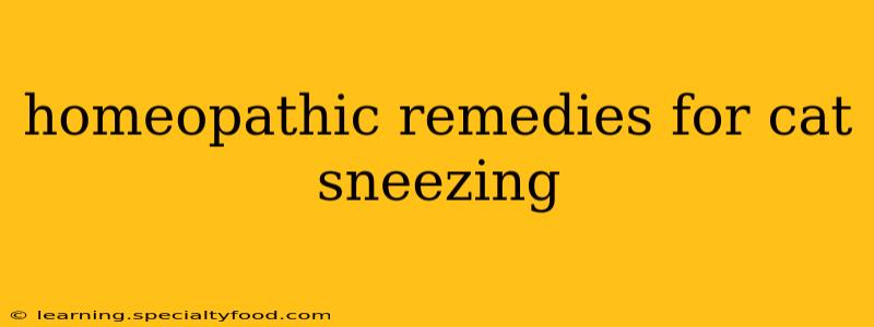 homeopathic remedies for cat sneezing