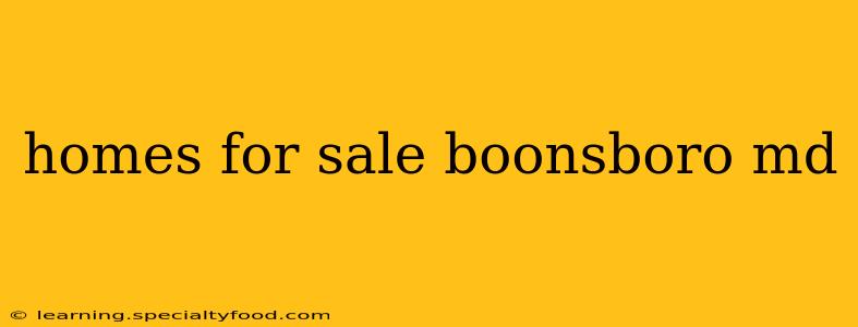 homes for sale boonsboro md