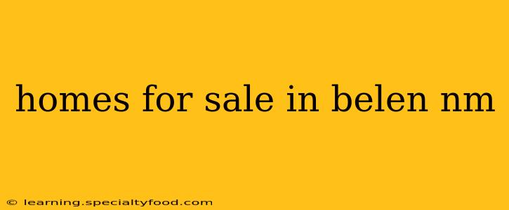homes for sale in belen nm
