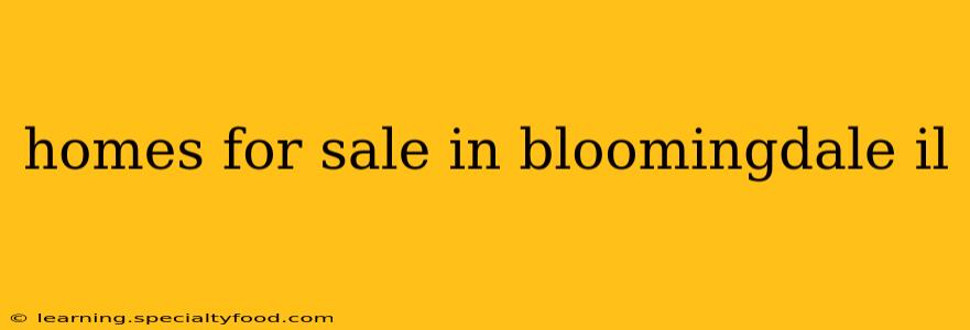 homes for sale in bloomingdale il