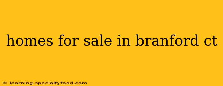 homes for sale in branford ct