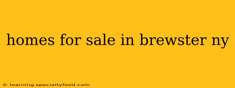homes for sale in brewster ny
