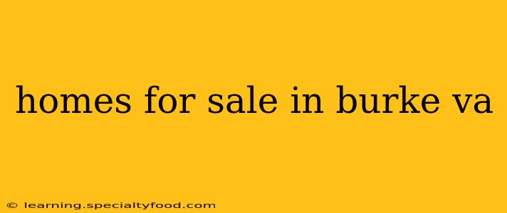 homes for sale in burke va
