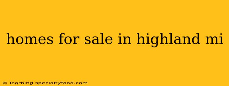 homes for sale in highland mi