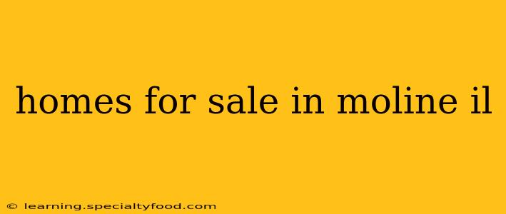 homes for sale in moline il
