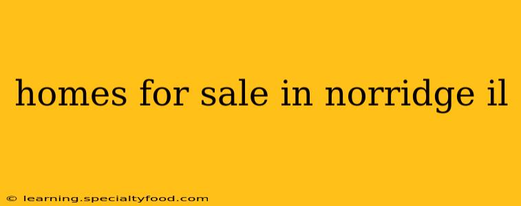 homes for sale in norridge il