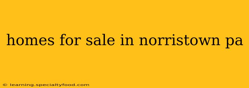 homes for sale in norristown pa