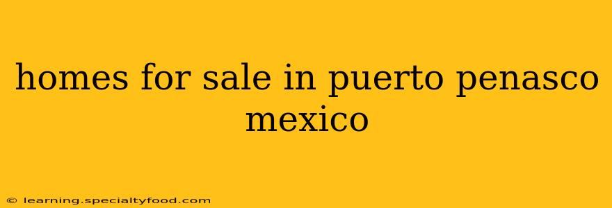 homes for sale in puerto penasco mexico