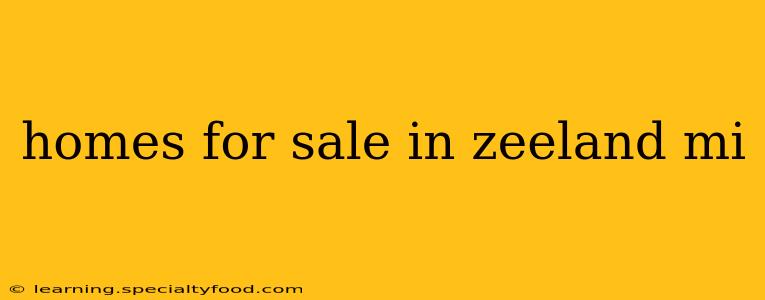 homes for sale in zeeland mi