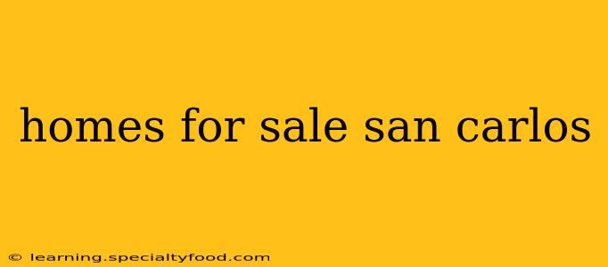homes for sale san carlos