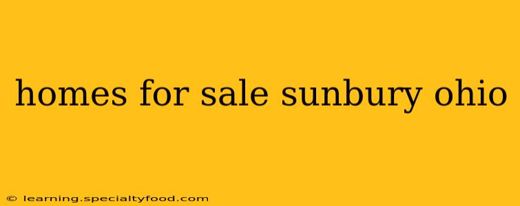 homes for sale sunbury ohio