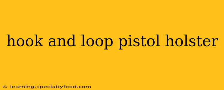 hook and loop pistol holster