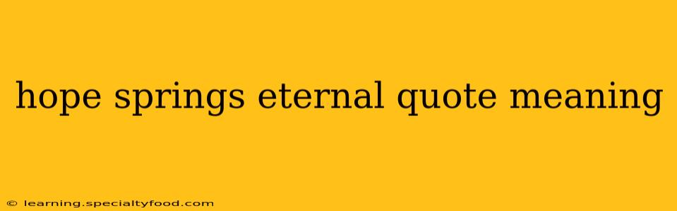 hope springs eternal quote meaning