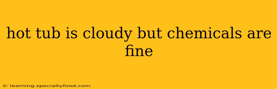hot tub is cloudy but chemicals are fine