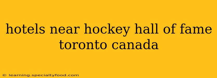 hotels near hockey hall of fame toronto canada