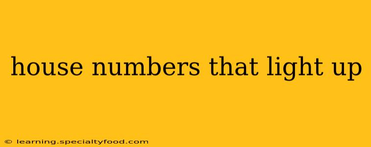 house numbers that light up
