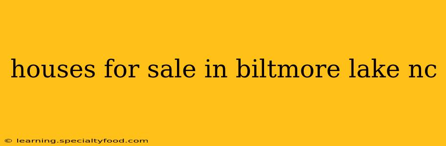 houses for sale in biltmore lake nc