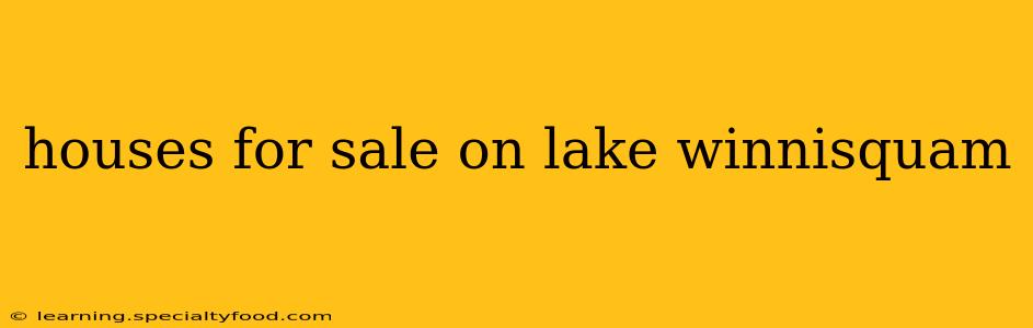 houses for sale on lake winnisquam