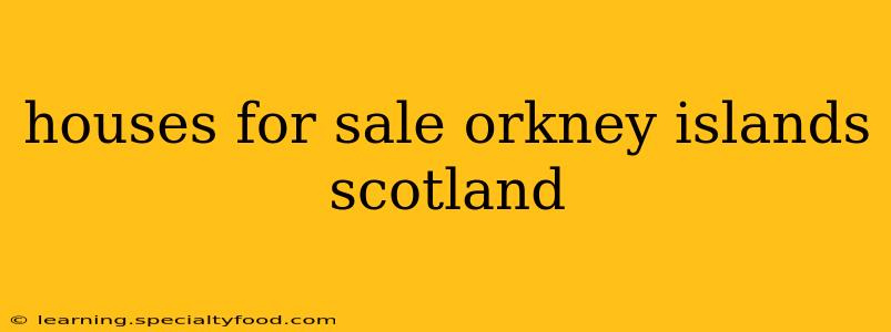 houses for sale orkney islands scotland